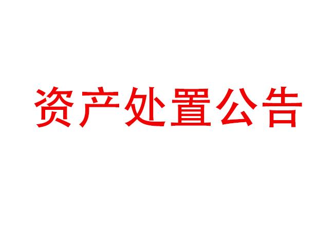 閑置設(shè)備資產(chǎn)處置公告（2023-27）