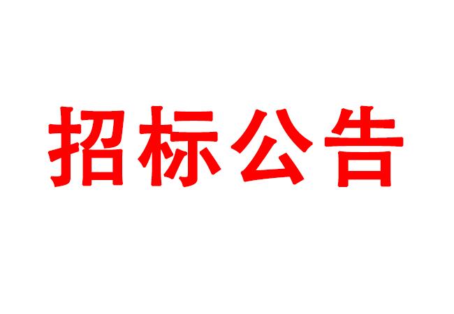 臥式動(dòng)乎衡儀等設(shè)備招標(biāo)公告